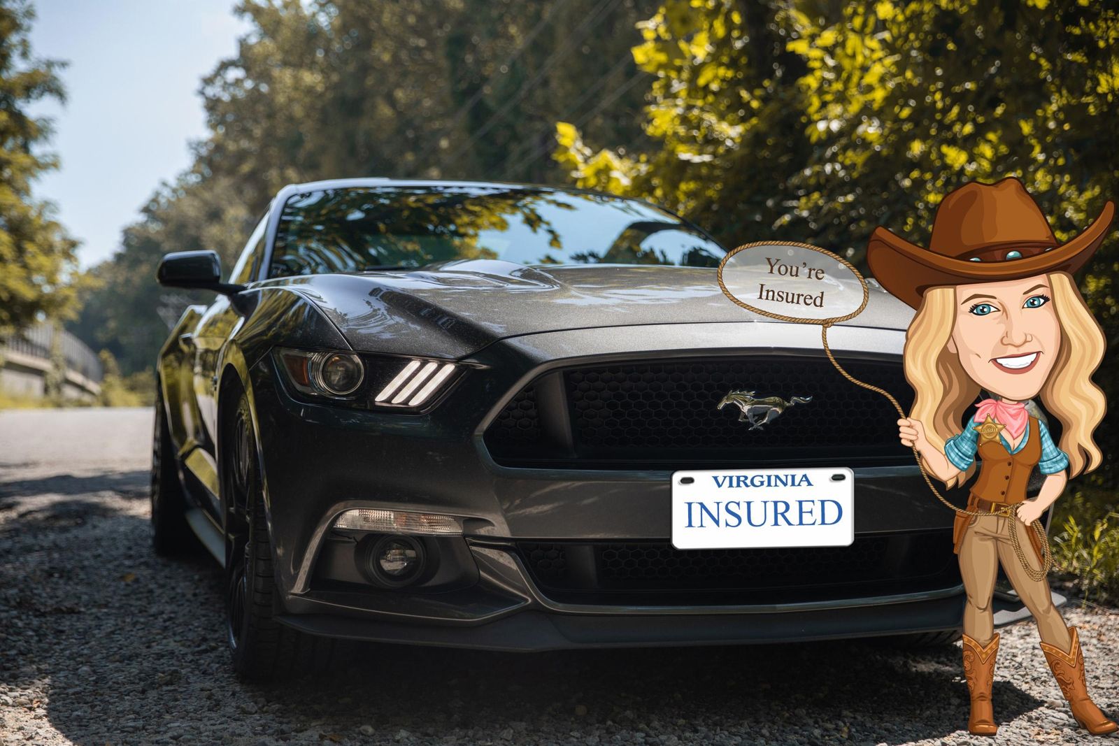 Auto Insurance
